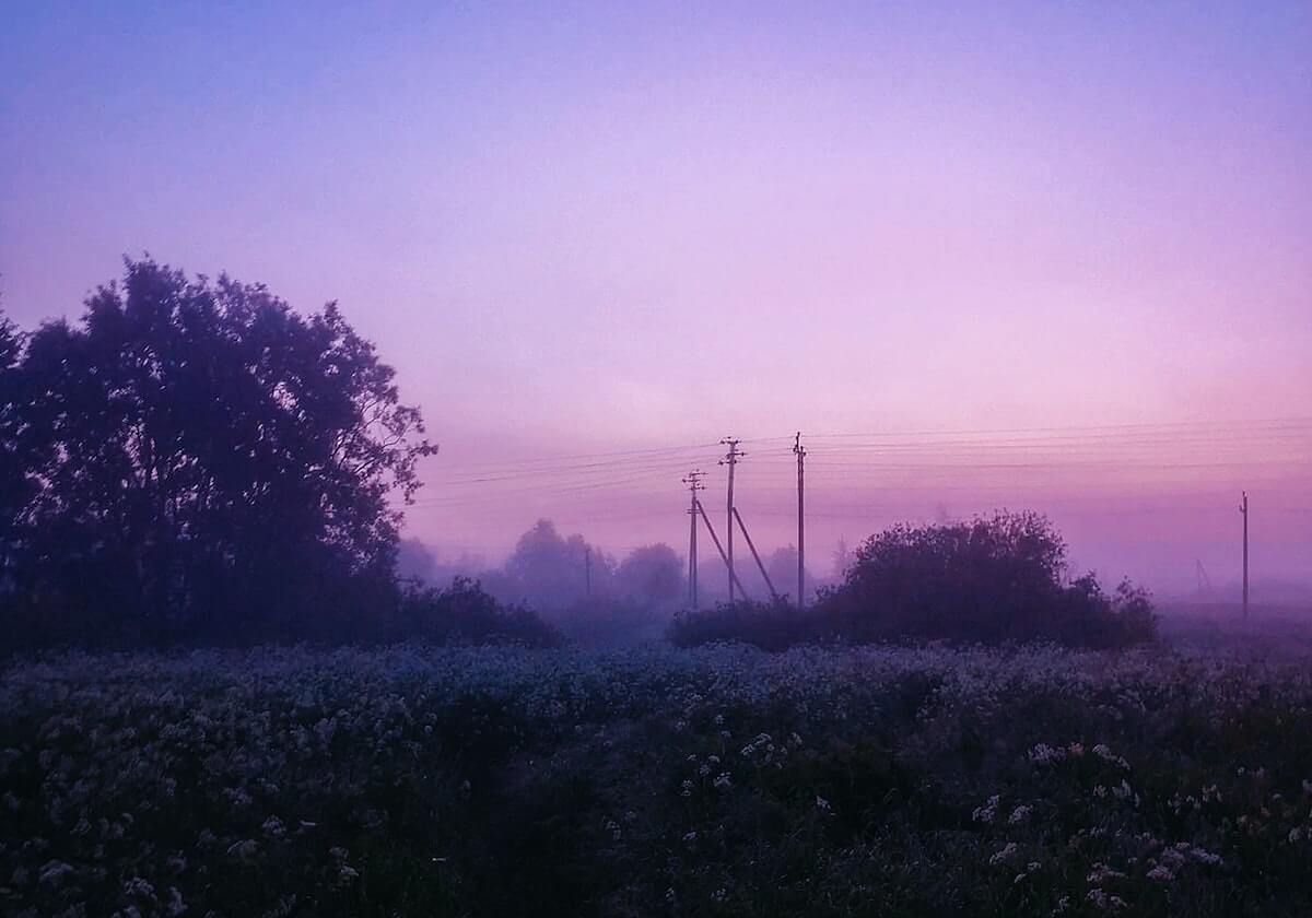 视频丨中超第23轮，山东泰山6-0战胜北京国安